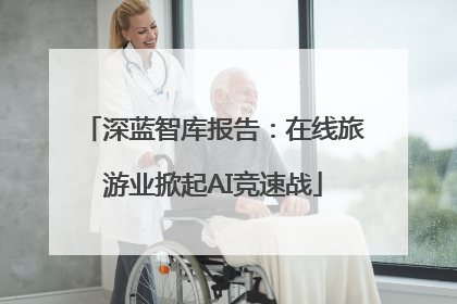 深蓝智库报告：在线旅游业掀起AI竞速战